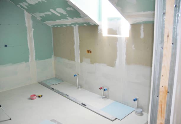 Best Industrial Mold Remediation  in USA